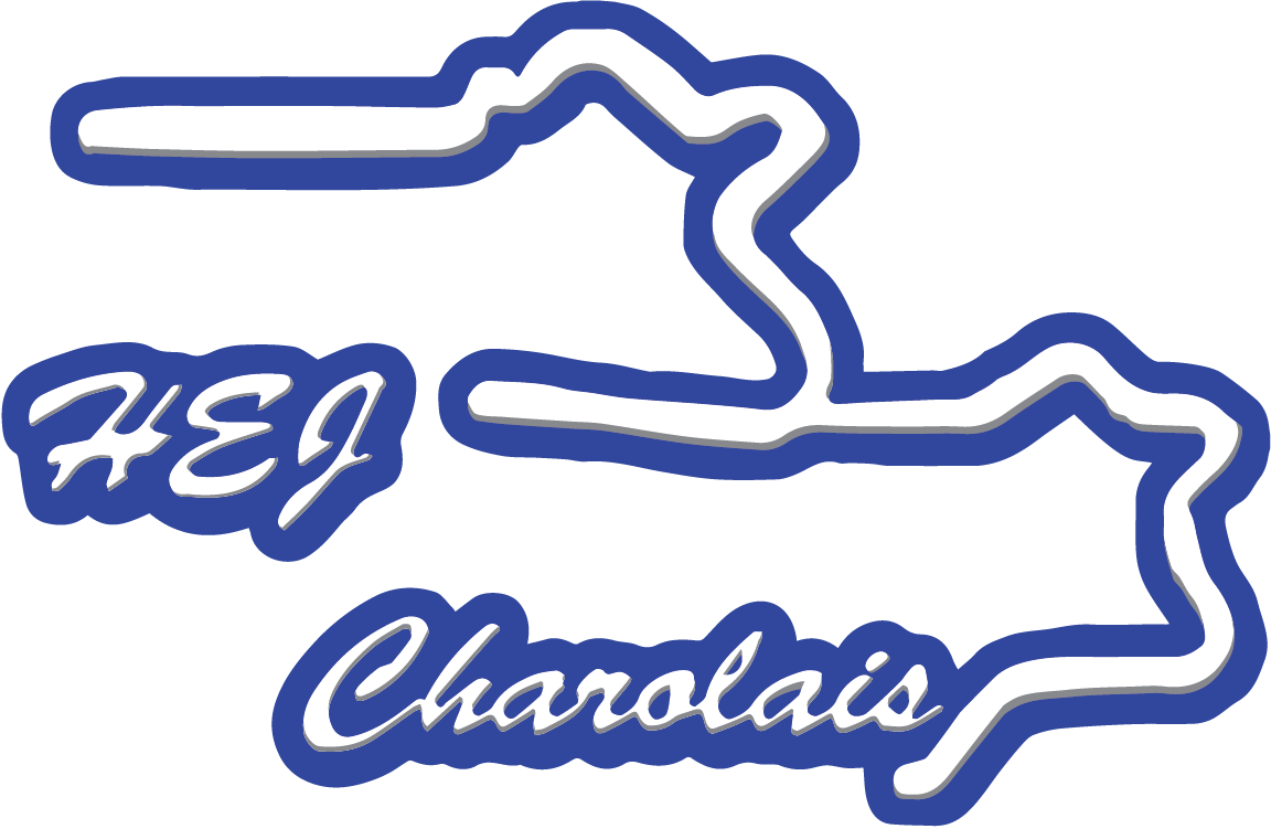 HEJ Logo